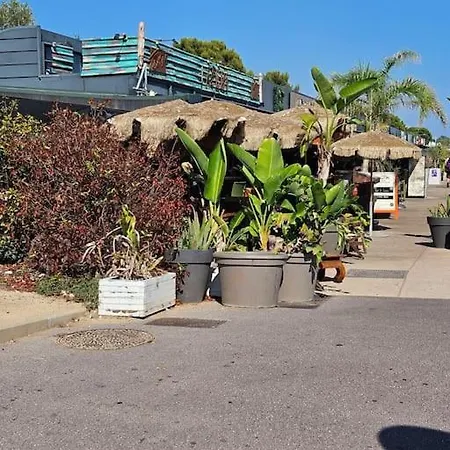 Bord De Appartement *